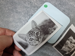 Портативний термопринтер JETIX Mini Printer з Bluetooth для друку без чорнила зі смартфона фото від покупців 5