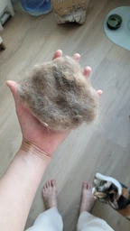 Фурминатор для котов с короткой шерстью FURminator размер M/L (691661) (4048422141259) фото от покупателей 17