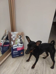 Сухий корм Club 4 Paws Premium для цуценят з високим вмістом курки 400 г.(4820083909443) фото від покупців 7