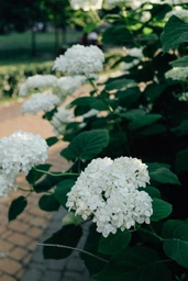 Canon EF-S 24mm f/2.8 STM фото от покупателей 9