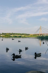 Canon EF-S 24mm f/2.8 STM фото от покупателей 5