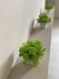 Стабилизированный мох ягель Nordic moss Зеленый травяной светлый 100 грамм фото от покупателей 11
