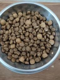 Сухий корм Purina One Mini/Small Active для дорослих собак дрібних порід з підвищеною активністю з куркою та рисом 1.5 кг (8445290348265) фото от покупателей 7