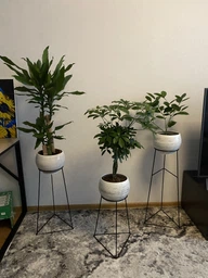 Комплект металлических подставок для цветов и вазонов Adore Décor "Скандинавские", черный фото от покупателей 8