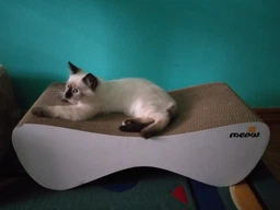 Кігтеточка (дряпка) - лежанка для кішок Say Meow Cloud 61х21х24 см (8040190102001)
