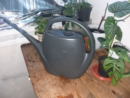 Лійка Plastkon "Spring" 4,5 л, помаранчова (A-011227)