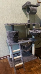 Ігровий комплекс (дряпка), будиночок для кота 140х75×40 см Avko CatTree сіра 1950 - кілька платформ для лазання та ігор, будиночок для відпочинку, лежак фото від покупців 2