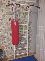 Шведська стінка для будинку SH-02 TurnichOk багатофункціональна Білий (2020025)