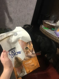 Сухой корм для взрослых кошек Purina Cat Chow Adult с уткой 15 кг фото от покупателей 16