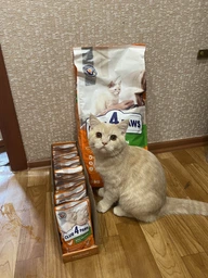 Cухий корм CLUB 4 PAWS PREMIUM Клуб 4 лапи для кошенят КУРКА, 5 кг фото від покупців 11