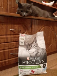 Сухий корм для стерилізованих котів Purina Pro Plan Sterilised Adult 1+ Savoury Duo Пуріна Проплан з тріскою та фореллю 3 кг (7613036732550) фото от покупателей 14
