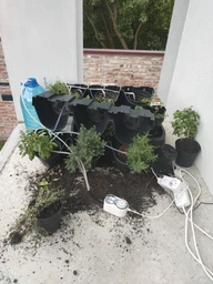 Вертикальний сад модульні горщики Prosperplast Cascade Garden IO2W600S-S433 антрацит фото від покупців 3