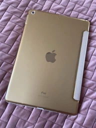 Чехол обложка BBM1 Leather для iPad 10.2" 2019/2020/2021 Зелёный фото от покупателей 1