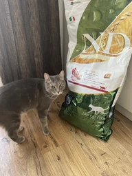 Сухой корм Farmina N&D LG Neutered Adult Cat Chicken для стерилизованных взрослых кошек низкозерновой 1,5 кг фото от покупателей 13