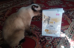 Сухий корм для котів при захворюваннях нірок Pro Plan Veterinary Diets NF Renal Function Advanced 1,5 кг фото від покупців 6