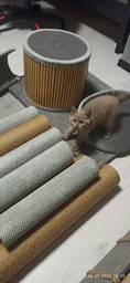 Стильная когтеточка с домиком игровой комплекс для кошек, котов всех пород 190х80х60см серо бежевая фото от покупателей 2
