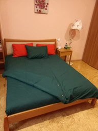 Комплект постільної білизни двоспальний Owl Deep Green Ранфорс 180x210 см Темно-зелений