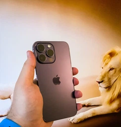 Мобильный телефон Apple iPhone 14 Pro Max 1TB Silver (MQC33RX/A)