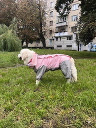 Дождевик для больших собак Графит 8XL Серо-желтый фото от покупателей 14