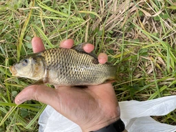 Набор рыболовный Black King 8 1.8 м + BratFishing Nitro 1000
