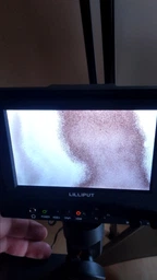 Кабель мультимедійний HDMI A to HDMI C (mini), 2.0m PowerPlant (KD00AS1193)[80146]