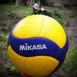 Мяч волейбольный Mikasa V320W фото от покупателей 1