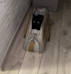 Сумка-переноска для собак и кошек Trixie Helen Carrier 19 х 28 x 40 см до 10 кг Бежевая с серым (4011905362533) фото от покупателей 1