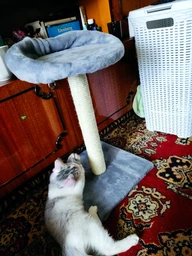 Когтеточка Lucky Pet Прана, серый, 33х33х50см фото от покупателей 17