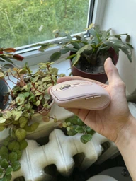 Мишка Logitech MX Anywhere 3 Rose (910-005990) фото от покупателей 10