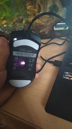 Мышь Razer Viper Mini USB Black (RZ01-03250100-R3M1) фото от покупателей 5