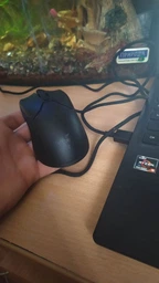 Мышь Razer Viper Mini USB Black (RZ01-03250100-R3M1) фото от покупателей 4