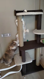 Котяча когтеточка дряпалка велика лежанка Річард 135х60х40см коричнево білий фото від покупців 4