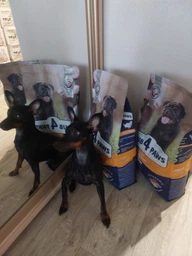 Сухий корм Клуб 4 лапи Club 4 Paws для контролю ваги собак малих порід стерилізованих або схильних до надлишкової ваги індичка 5 кг