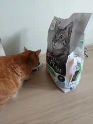 Сухий корм для стерилізованих котів Purina Pro Plan Sterilised Adult 1+ Savoury Duo Пуріна Проплан з тріскою та фореллю 3 кг (7613036732550) фото от покупателей 12