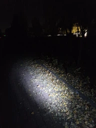 Фонарик на рулетку-поводок Flexi LED USB Ø=7 см Черный (44216) фото от покупателей 1