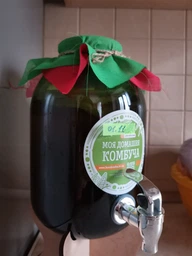 Набор для приготовления Комбучи средний KomBUCHA BOX LITE+ фото от покупателей 2