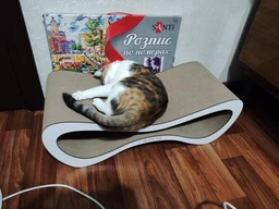 Кігтеточка з картону посиленого з дерев'яним фасадом Cat Joy Loft Brown 70x22x29 см (870500002) фото від покупців 2