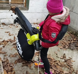 Воздуходув-пылесос электрический Ryobi RBV3000CESV фото от покупателей 1