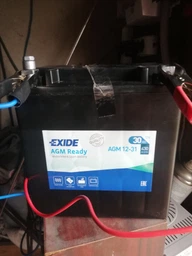 Стартерная батарея (аккумулятор) EXIDE AGM12-31 Exide (AGM1231) фото от покупателей 5