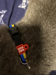 Ошейник для котов нейлоновый Collar WAUCAT c QR паспортом Colors of freedom пластиковый фастекс XS 20 - 30 см (5210-4020Collar) фото от покупателей 10