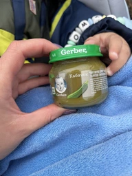 Пюре гомогенизированное овощное Gerber Тыква для детей с 6 месяцев 80 г (7613287348173)