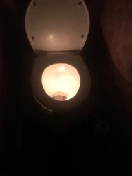 Подсветка для унитаза LED с датчиком движения Light Bowl фото от покупателей 14