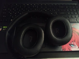 Наушники JBL Tune 710 BT Black (JBLT710BTBLK) фото от покупателей 6