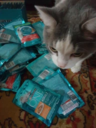 Консервований корм Purina One Adult З куркою та зеленою фасолею 24 шт х 85 г (7613038255743-24) фото від покупців 3