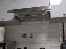 Витяжка телескопічна ELEYUS Breeze 1200 60 IS (1200 м3/год, 3 швид., кнопкове кер.) 214082 фото от покупателей 1