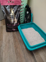 Наповнювачі для туалету CAT ROYALE Бентонітовий наповнювач з ароматом дитячої пудри 5 л (76144148) фото від покупців 6