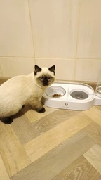Миска для кошек и собак со встроенной поилкой ELS Pet 500 мл Белый (00858)