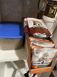 Вологий корм для кішок Club 4 Paws Premium Плюс з телятиною в соусі , 85 г фото від покупців 12