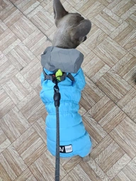 Комбинезон Collar AiryVest One для собак, размер L 50 Розовый (24237) фото от покупателей 13