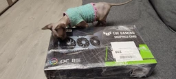 Видеокарта ASUS TUF-RTX3060TI-O8G-V2-GAMING фото от покупателей 4
